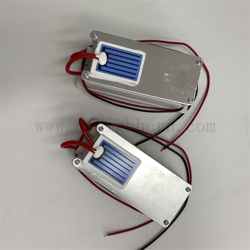 220V 1 г/ч керамический лист Озоновый генератор модуль воздухоочистика O3 Ozonator Kit