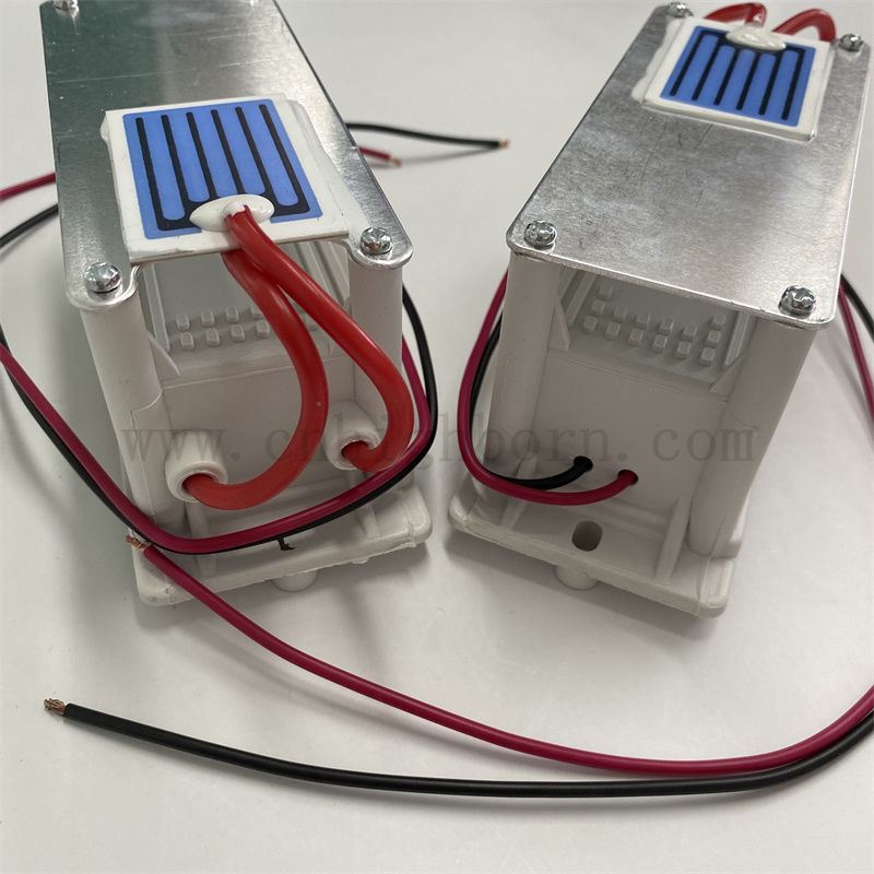 220V 1 г/ч керамический лист Озоновый генератор модуль воздухоочистика O3 Ozonator Kit