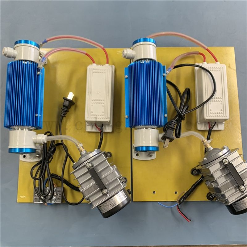 Индивидуальный 220 В 10 г/ч 15 г/ч Очиститель воды Озонатор Озонатор Озонатор Модуль Озонатор 