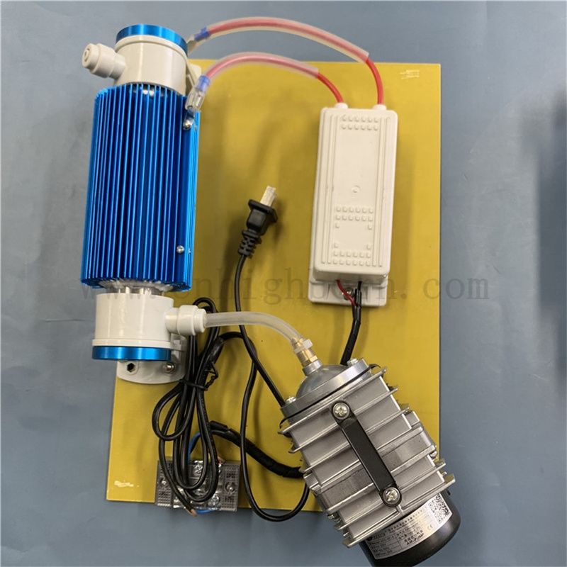 Индивидуальный 220 В 10 г/ч 15 г/ч Очиститель воды Озонатор Озонатор Озонатор Модуль Озонатор 