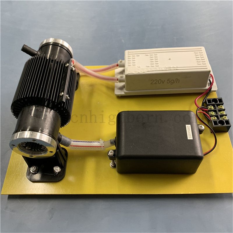 110 В 10 г/ч генератор дезинфекции озона O3 машина стерилизации для обработки воды