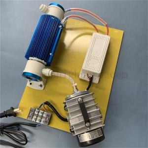 Индивидуальный модуль генератора озона озонатора для очистки воды 220 В 10 г/ч 15 г/ч 