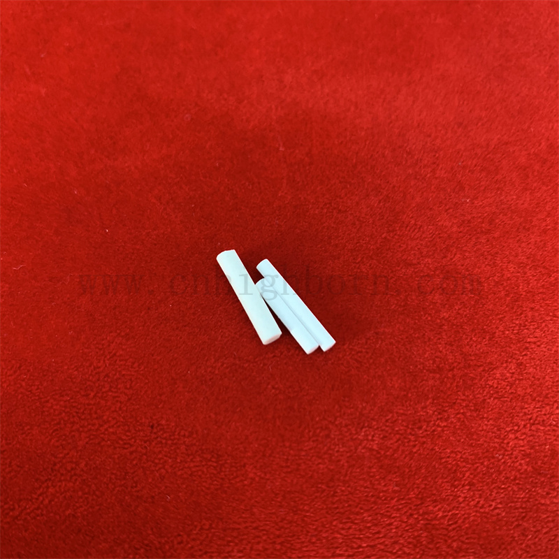 Насыщенный насыщенным раствором Фильтр Фильтр Электрод Электрод Песочный ядра Пористая керамическая палочка