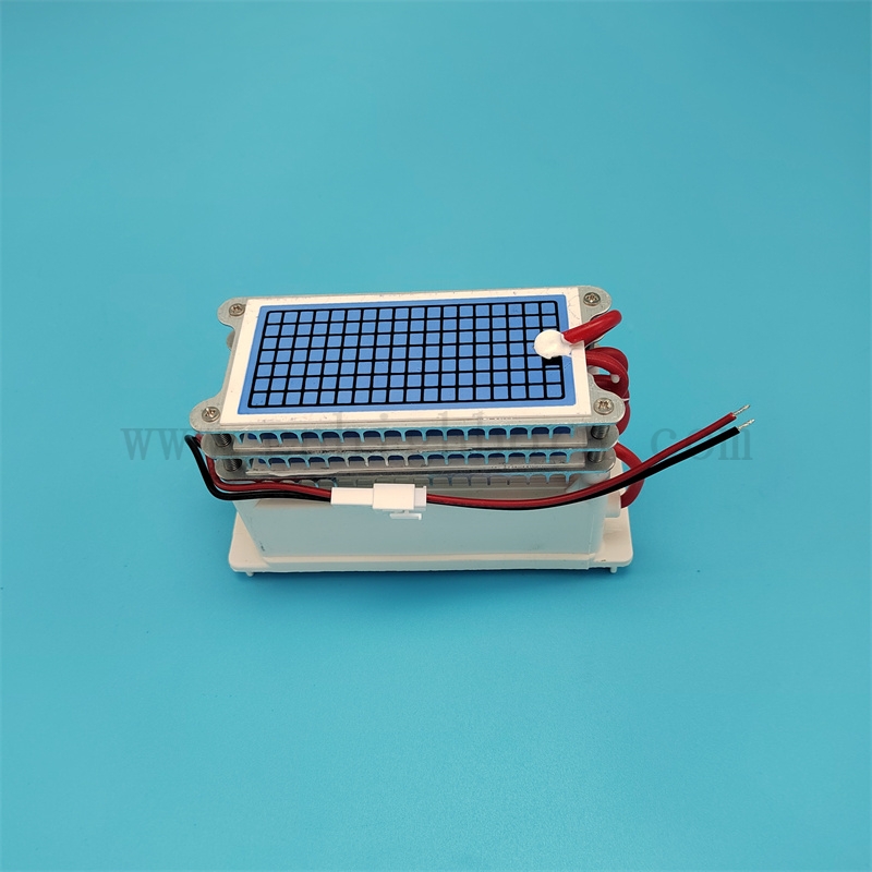 Низкое энергопотребление 220 В 30 г/ч Портативное модуль озонового генератора керамической пластины 