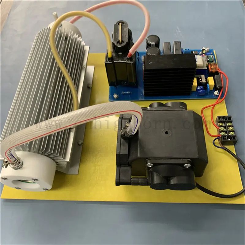 Многофункциональный модуль стерилизации генератора озона 220 В 20 г для обработки воды 