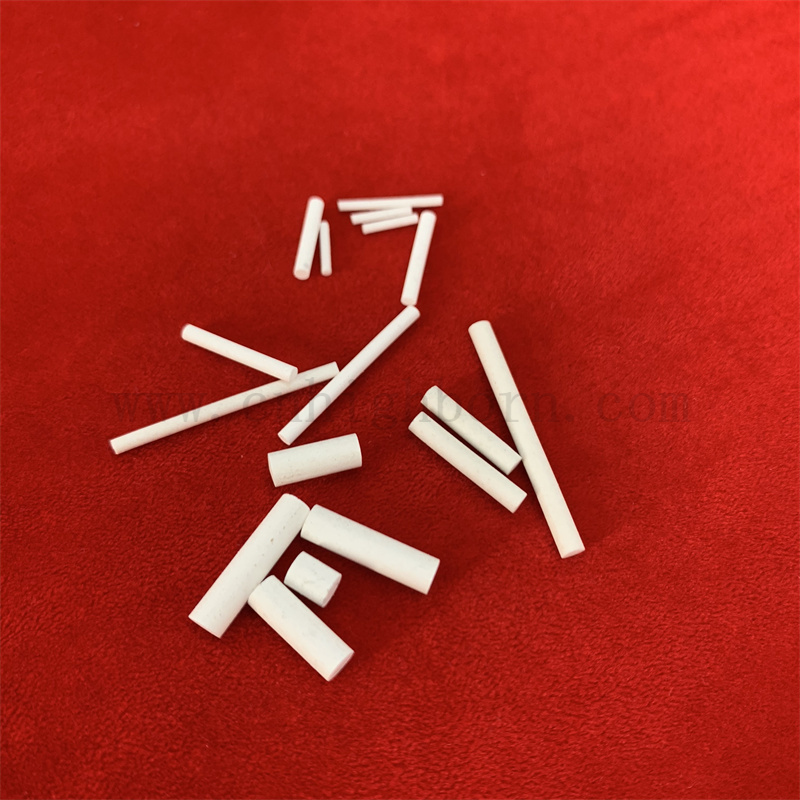 Насыщенный насыщенным раствором Фильтр Фильтр Электрод Электрод Песочный ядра Пористая керамическая палочка