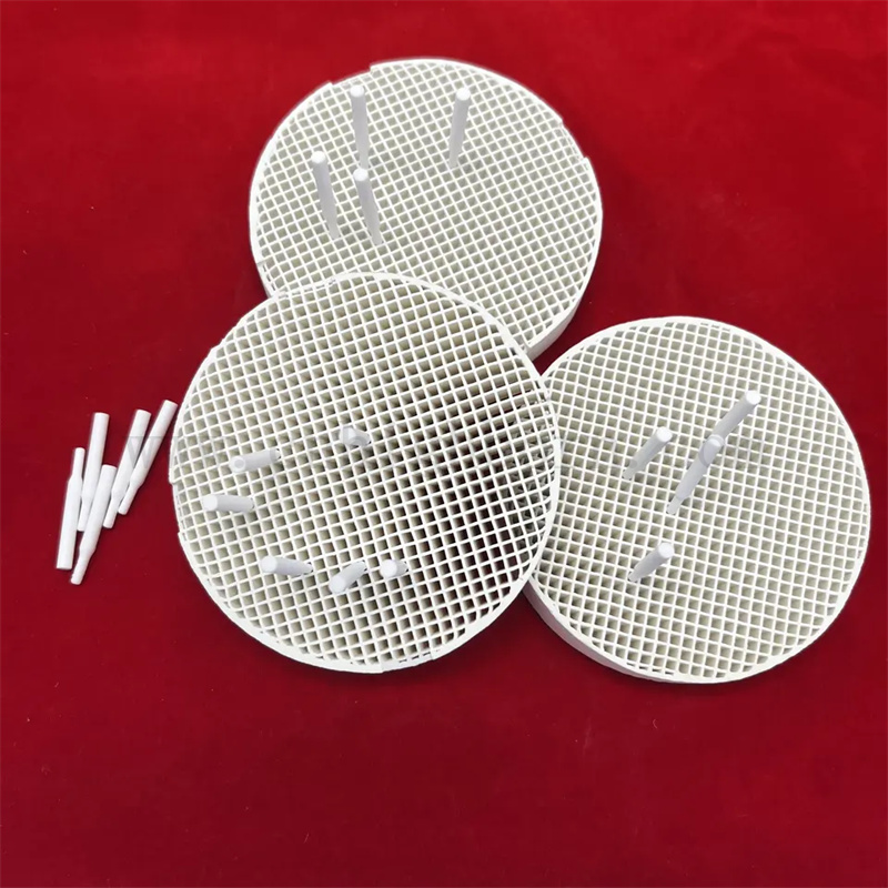 Стоматологическая лаборатория керамика, спеченная поднос с булавками