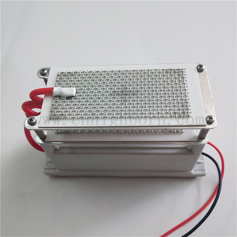 220 В 10 г/ч металлическая сетчатая керамическая пластина Озоновой генератор озонизатор