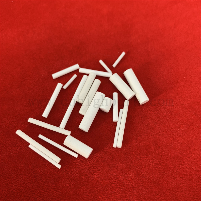 Насыщенный насыщенным раствором Фильтр Фильтр Электрод Электрод Песочный ядра Пористая керамическая палочка