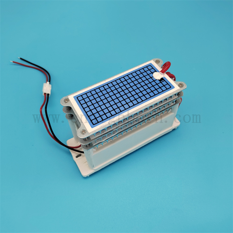 Низкое энергопотребление 220 В 30 г/ч Портативное модуль озонового генератора керамической пластины 